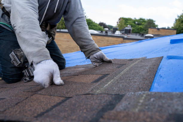 Best Rubber Roofing (EPDM, TPO)  in Marine, IL